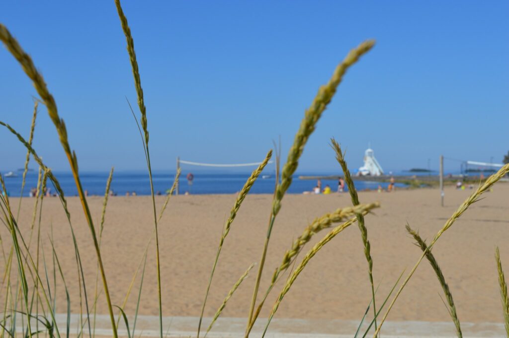 Nallikarin uimaranta